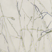 Load image into Gallery viewer, Monokaryon Verification Service