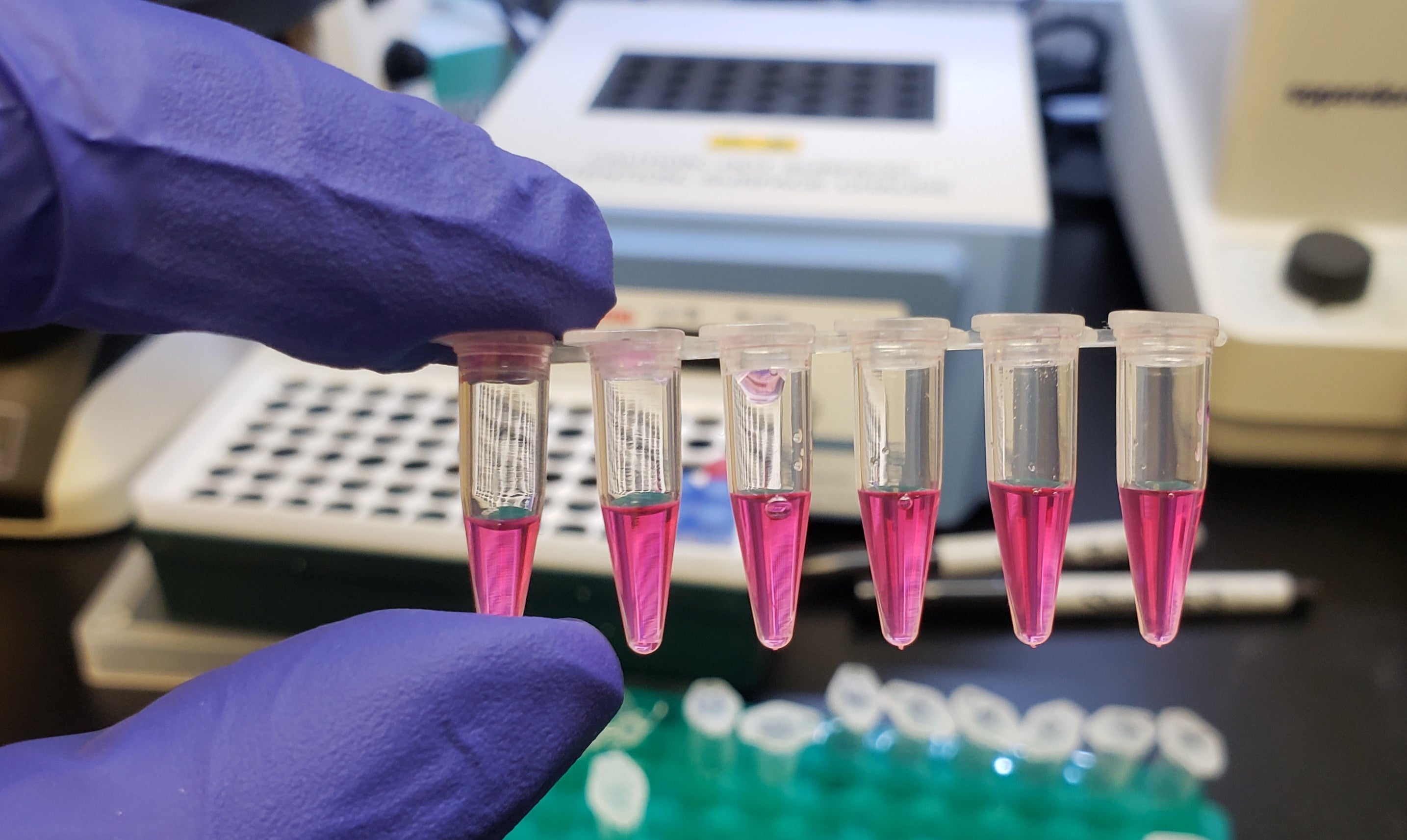Lab Services – Imperial Scientific